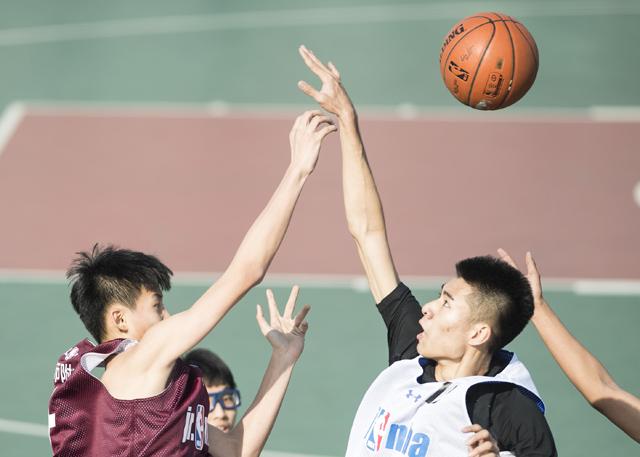 我的东西很怕生