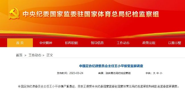 成人国产精品视频