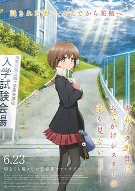 跑车里的车手