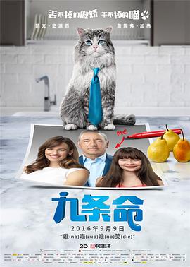 无毒不卡在线播放