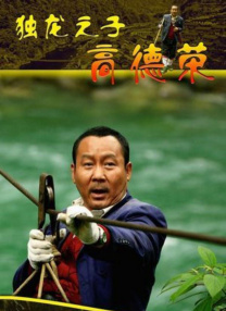 天天视频在线观看免费完整