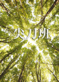 a级特黄毛片免费观看