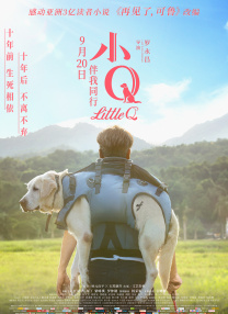 安森夫妇